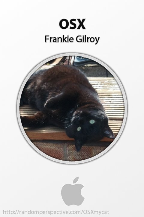 Frankie Gilroy