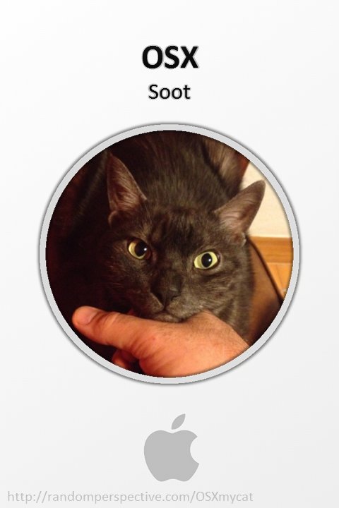 Soot