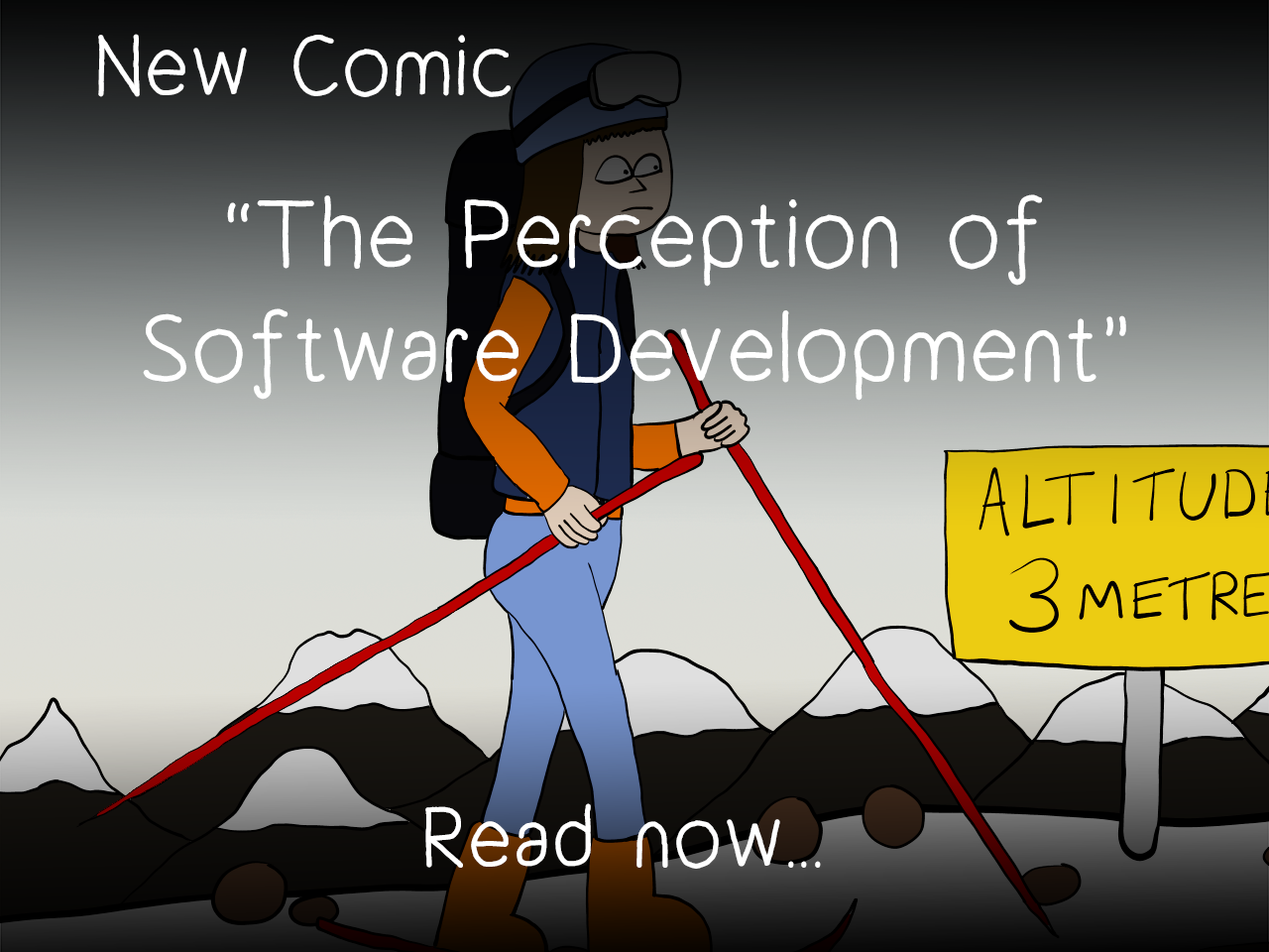 The Perception of Software Development