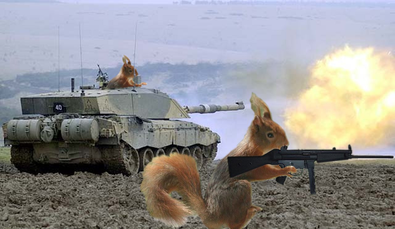 funny squirrel stick em up pictures with guns