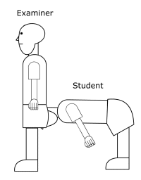 New Cambridge Entrance Examination